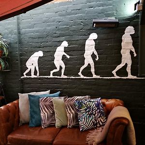 Darwin'S Kitchen